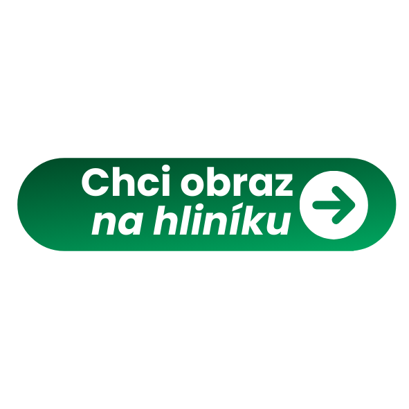 hlinik